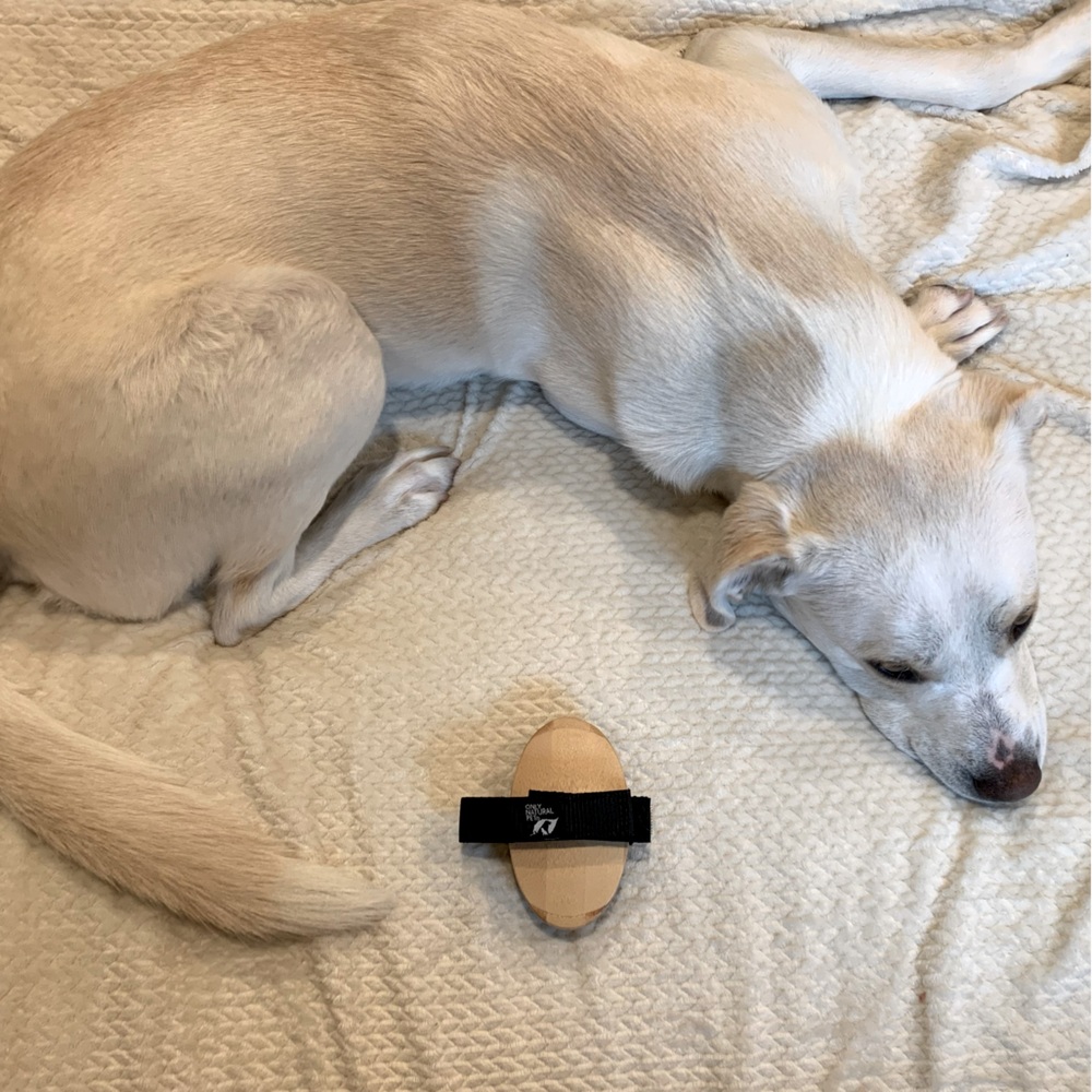 Only Natural Pet Curry Comb/Brush
